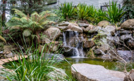 Visit to a garden designer’s garden